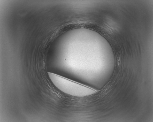 X0000058801204200509300905