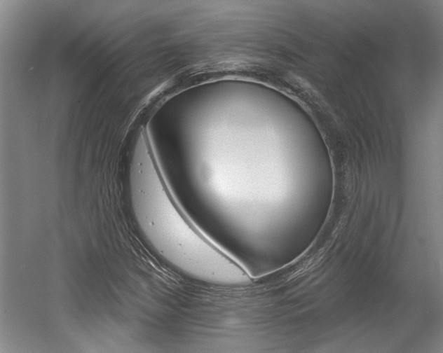 X0000058801210200509300905
