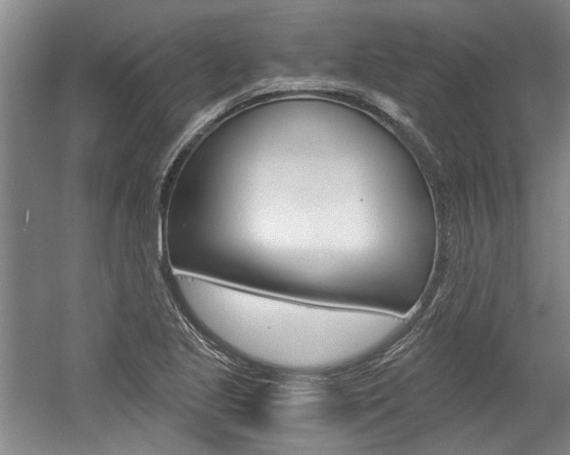 X0000058801221200509300905