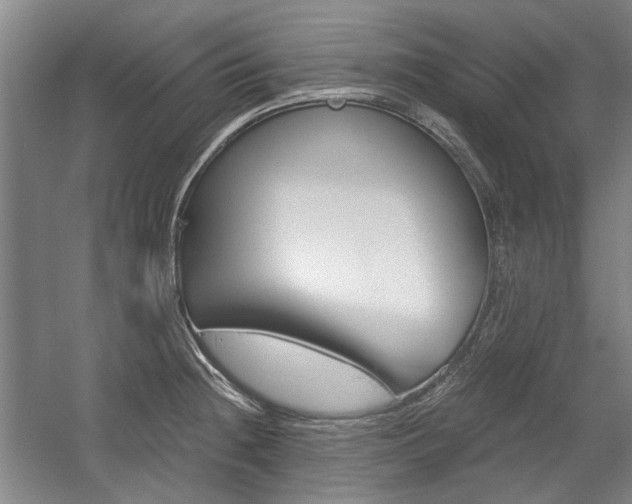 X0000058801236200509300906