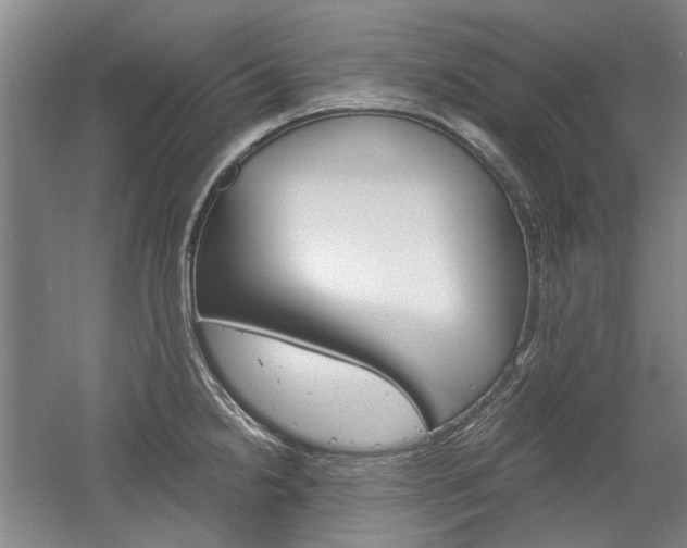 X0000058801238200509300906