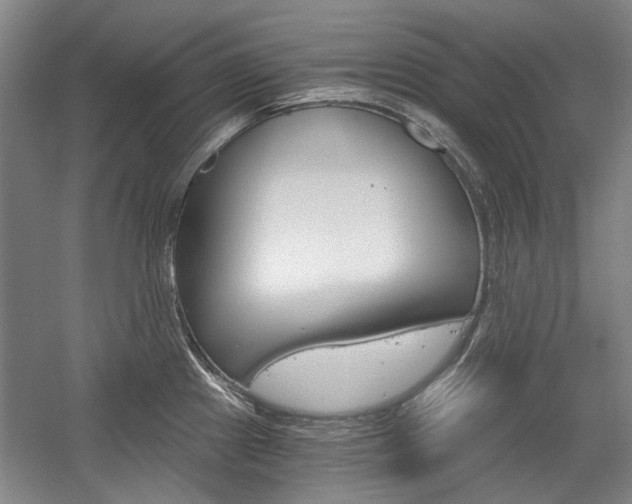 X0000058801241200509300906