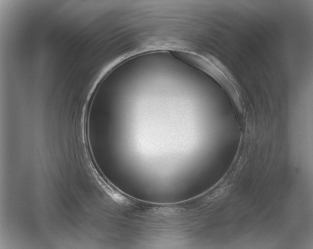 X0000058801246200509300906