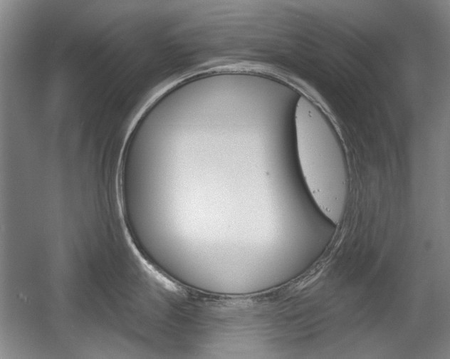 X0000058801247200509300906