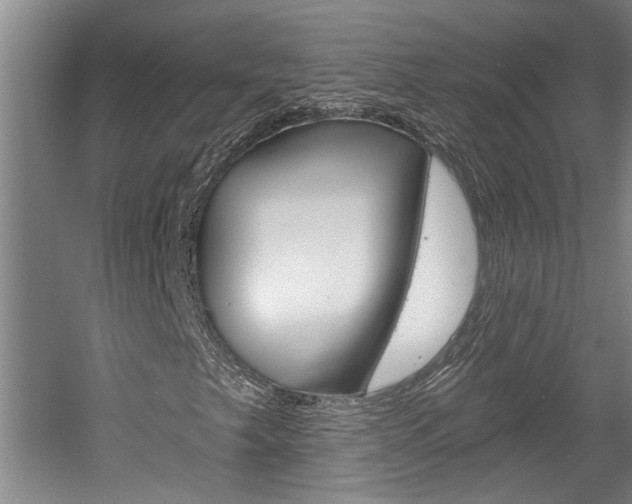 X0000058801249200509300905