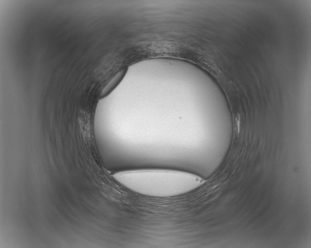 X0000058801251200509300905