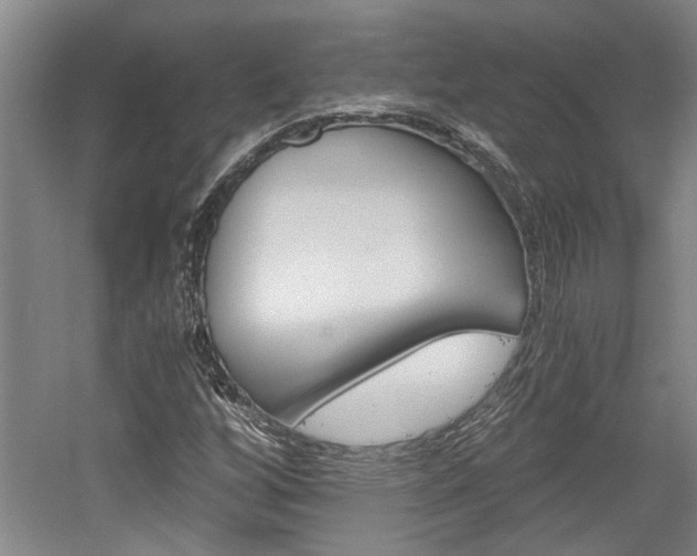 X0000058801256200509300905