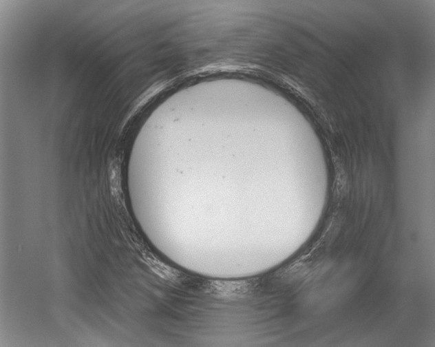 X0000058801258200509300905
