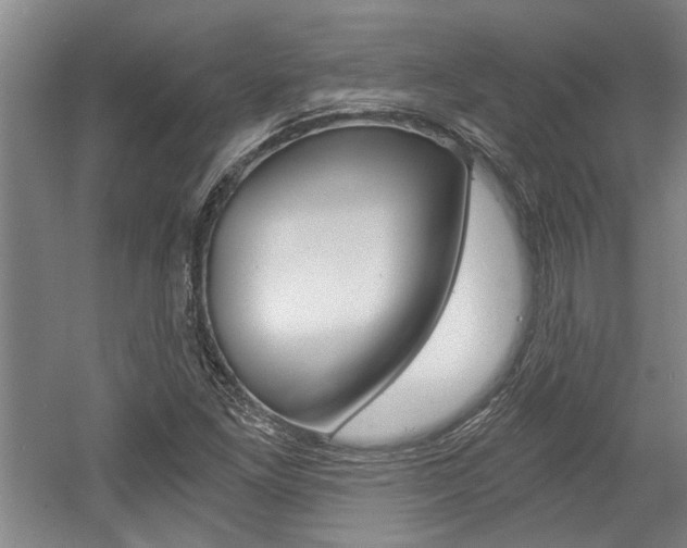 X0000058801261200509300905