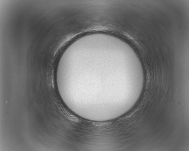 X0000058801262200509300905