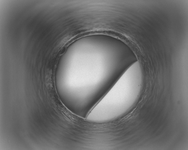 X0000058801265200509300905