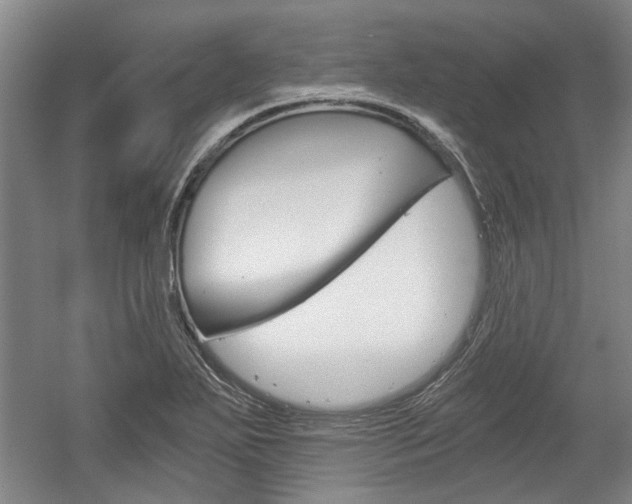 X0000058801271200509300905