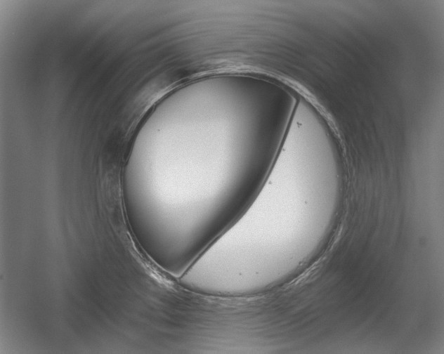 X0000058801289200509300904