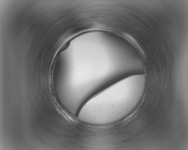 X0000058801292200509300904