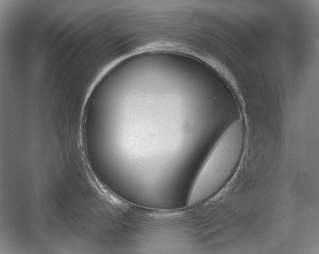 X0000058801296200509300904