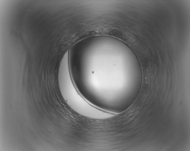 X0000058801298200509300903