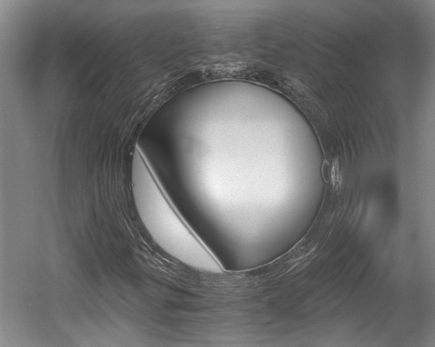 X0000058801299200509300903