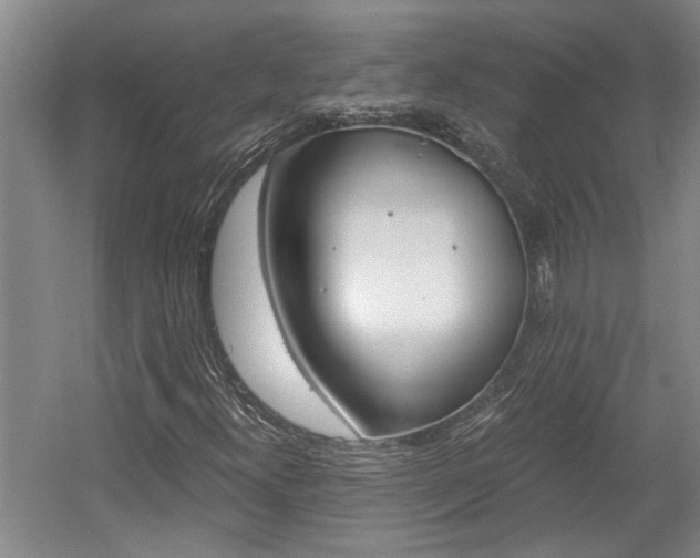 X0000058801300200509300903