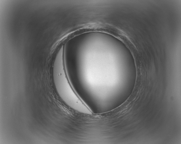 X0000058801304200509300903
