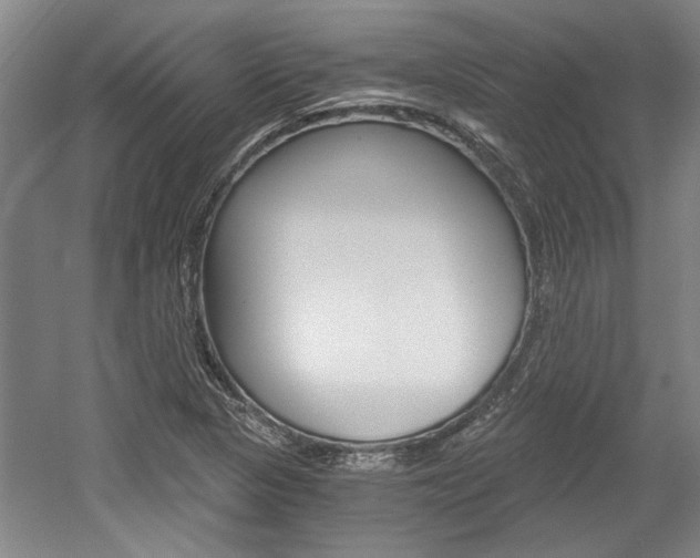 X0000058801313200509300904