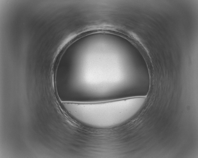 X0000058801320200509300904