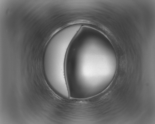 X0000058801321200509300904