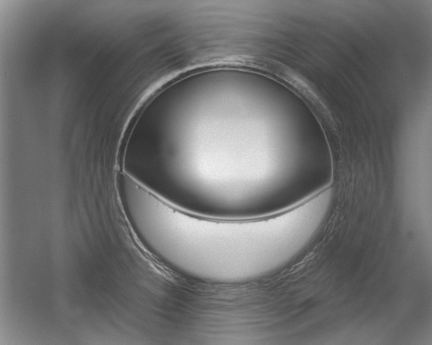 X0000058801332200509300904