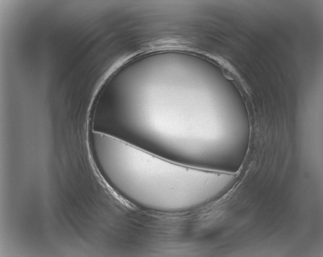 X0000058801333200509300904