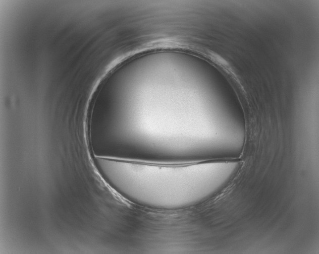 X0000058801334200509300904