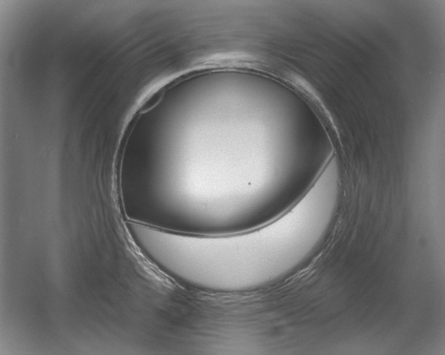 X0000058801336200509300904