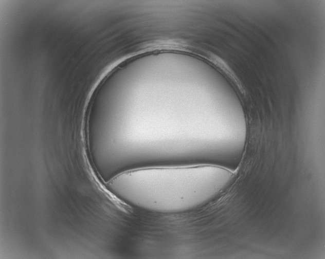 X0000058801339200509300904