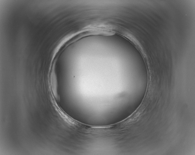X0000058801344200509300904