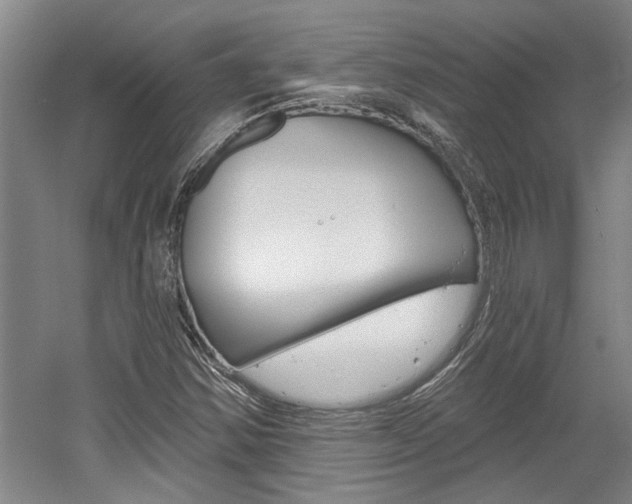 X0000058801354200509300903