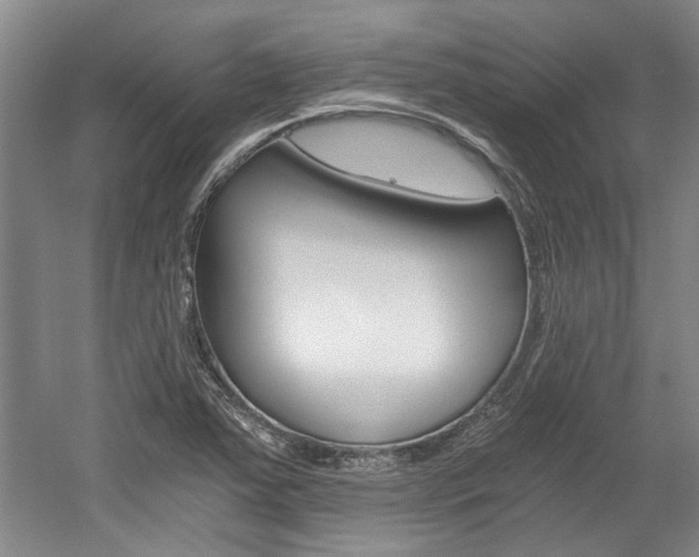 X0000058801363200509300903