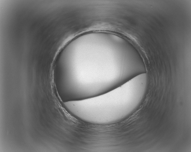 X0000058801366200509300903