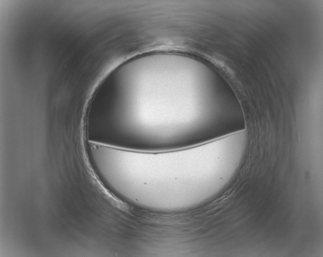 X0000058801375200509300903