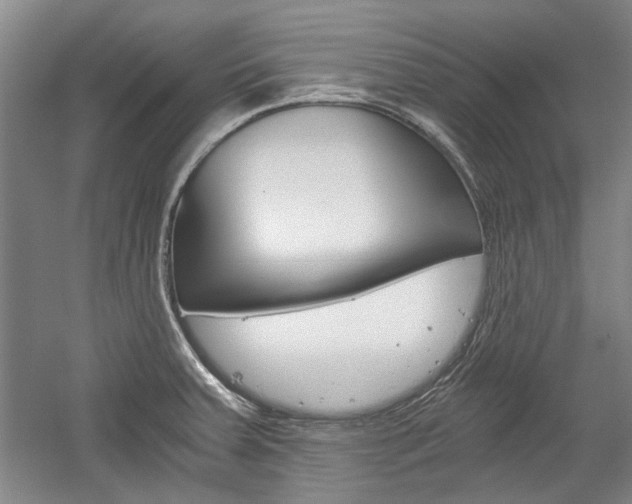 X0000058801379200509300903