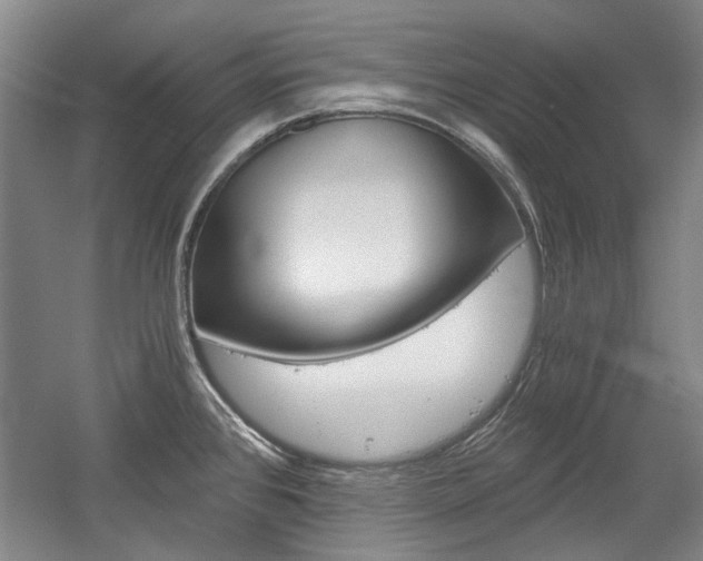 X0000058801384200509300903
