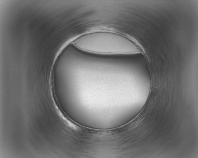 X0000058801387200509300903