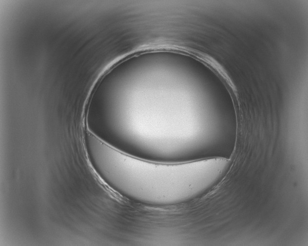 X0000058801388200509300903