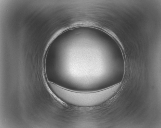 X0000058801389200509300903