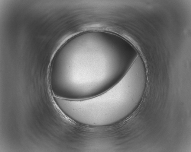 X0000058801392200509300903