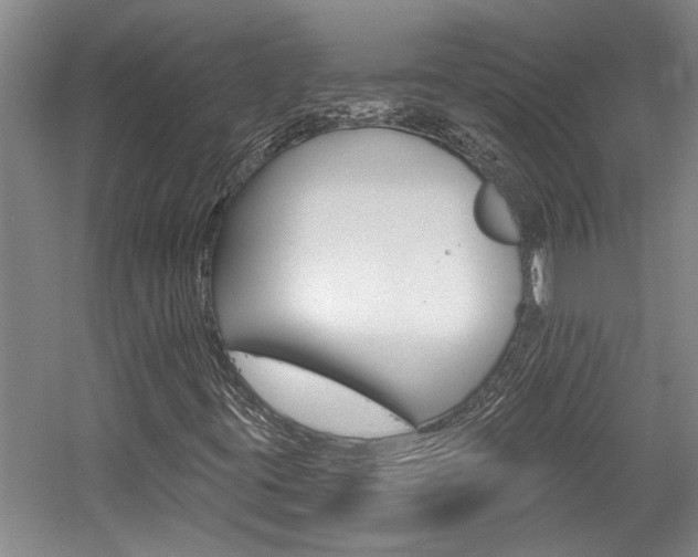 X0000058801395200509300902