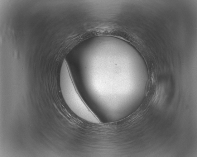 X0000058801396200509300902
