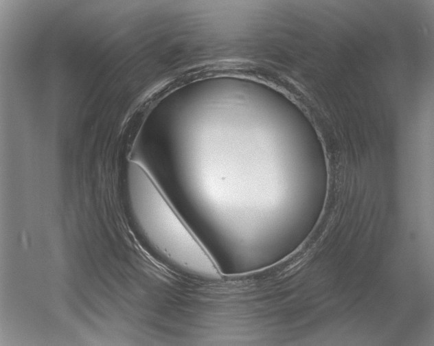 X0000058801402200509300902