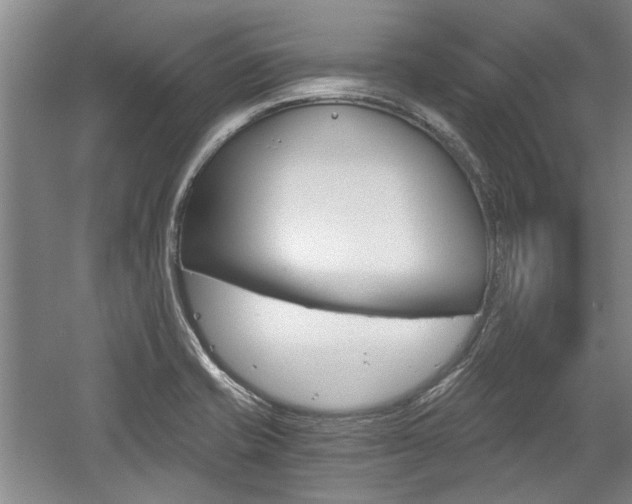 X0000058801421200509300902