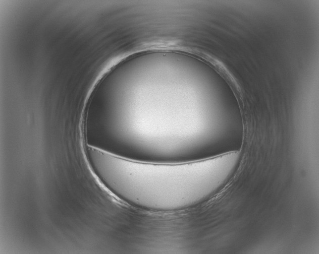 X0000058801432200509300902