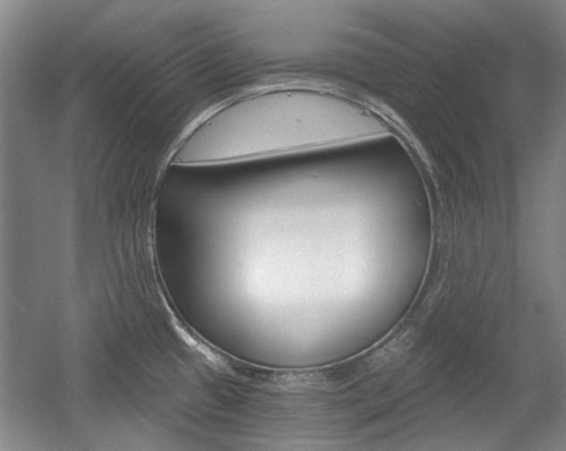 X0000058801433200509300902
