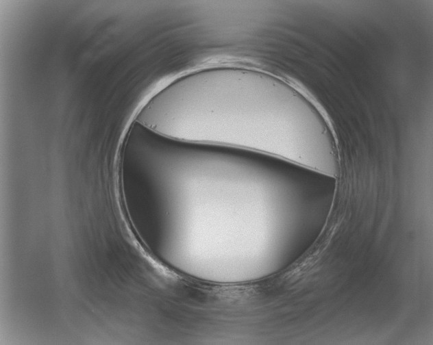 X0000058801437200509300902