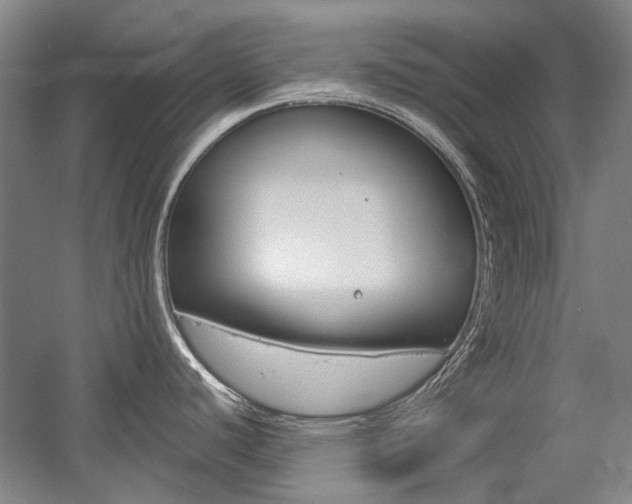 X0000058801440200509300903